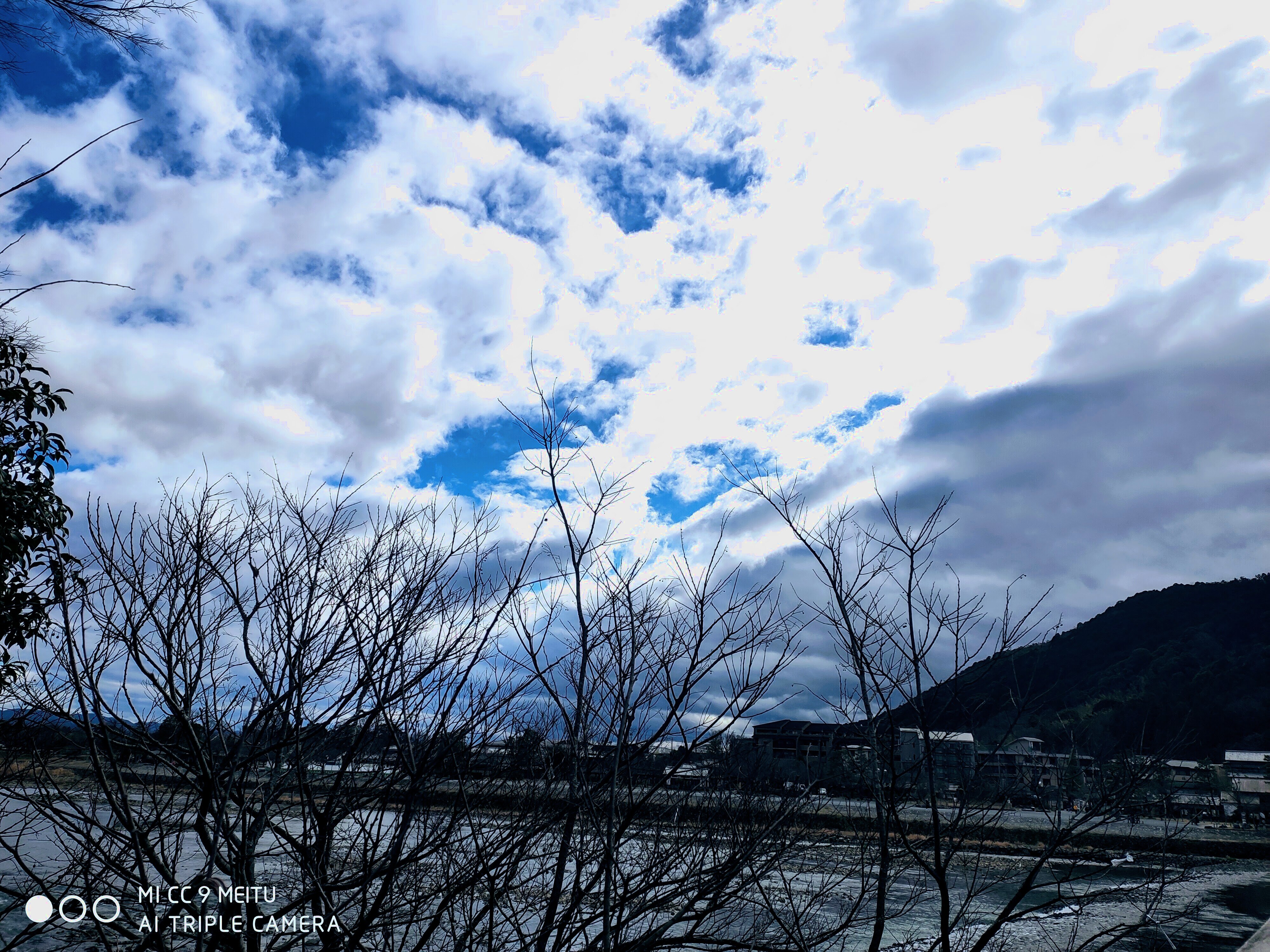 庚子年正月，京都一日