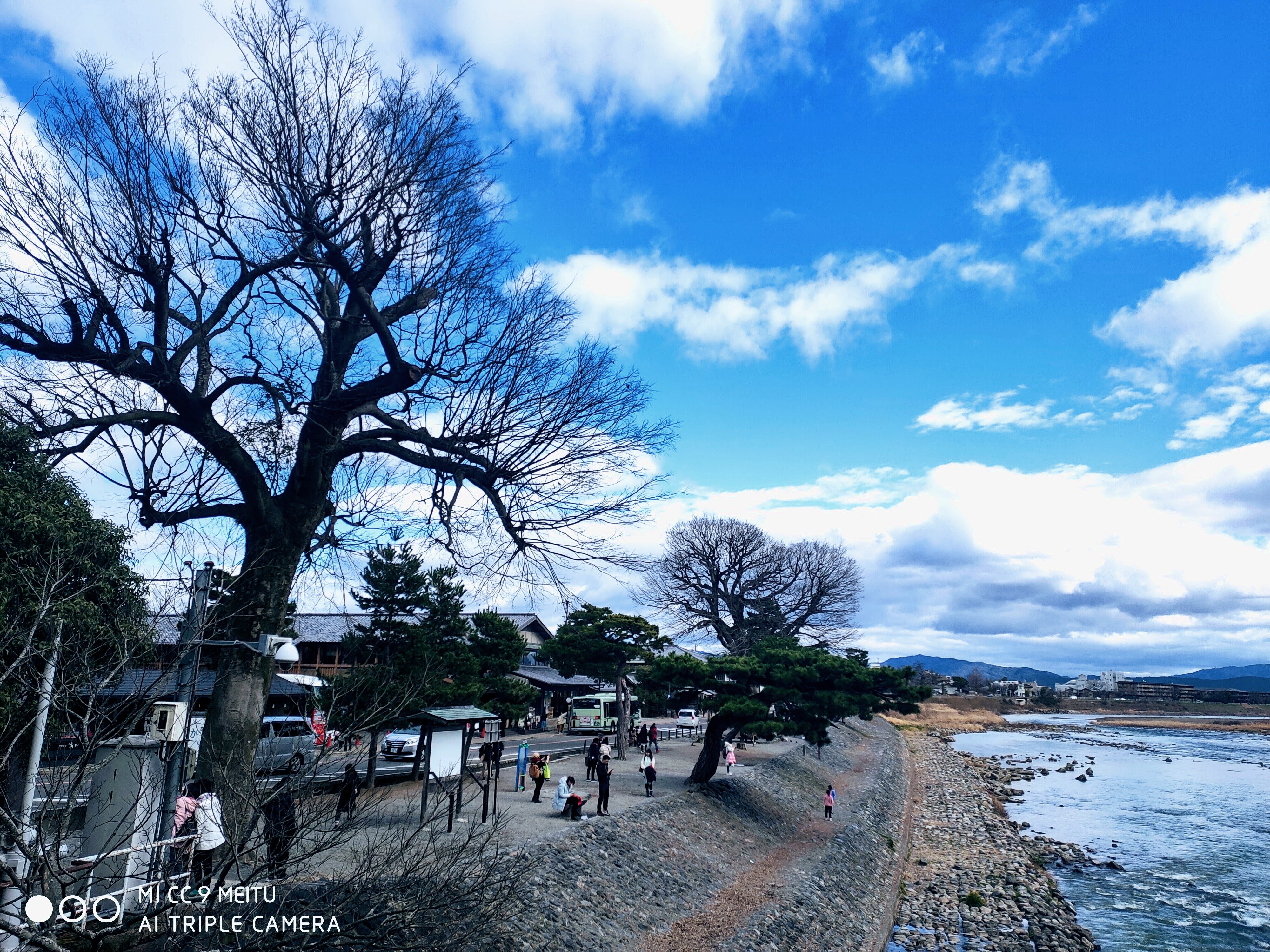 桂川北岸