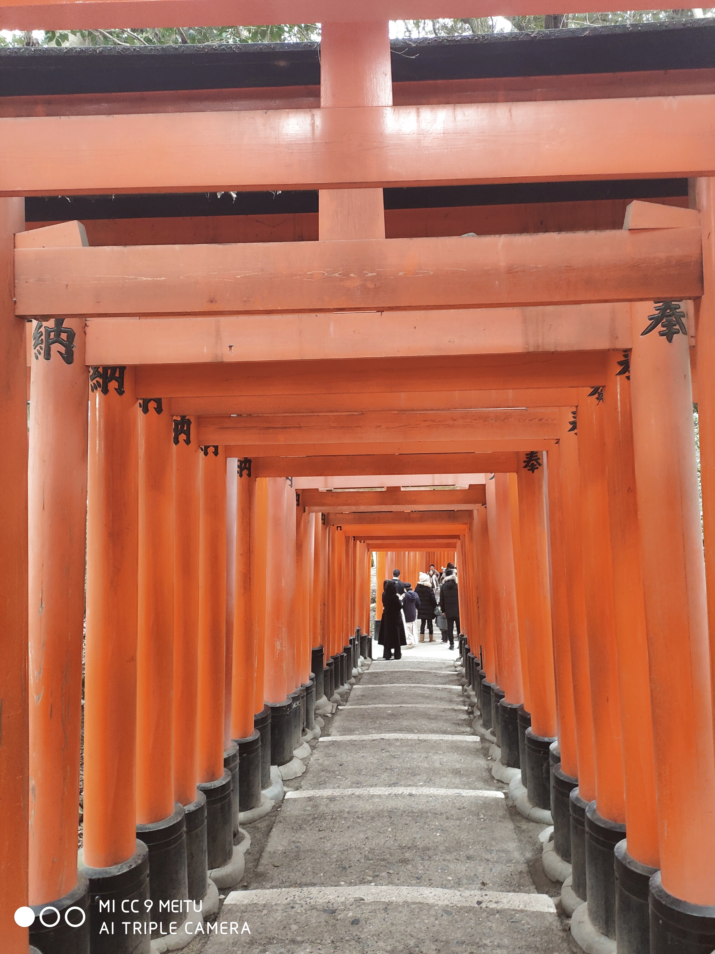 千本鸟居