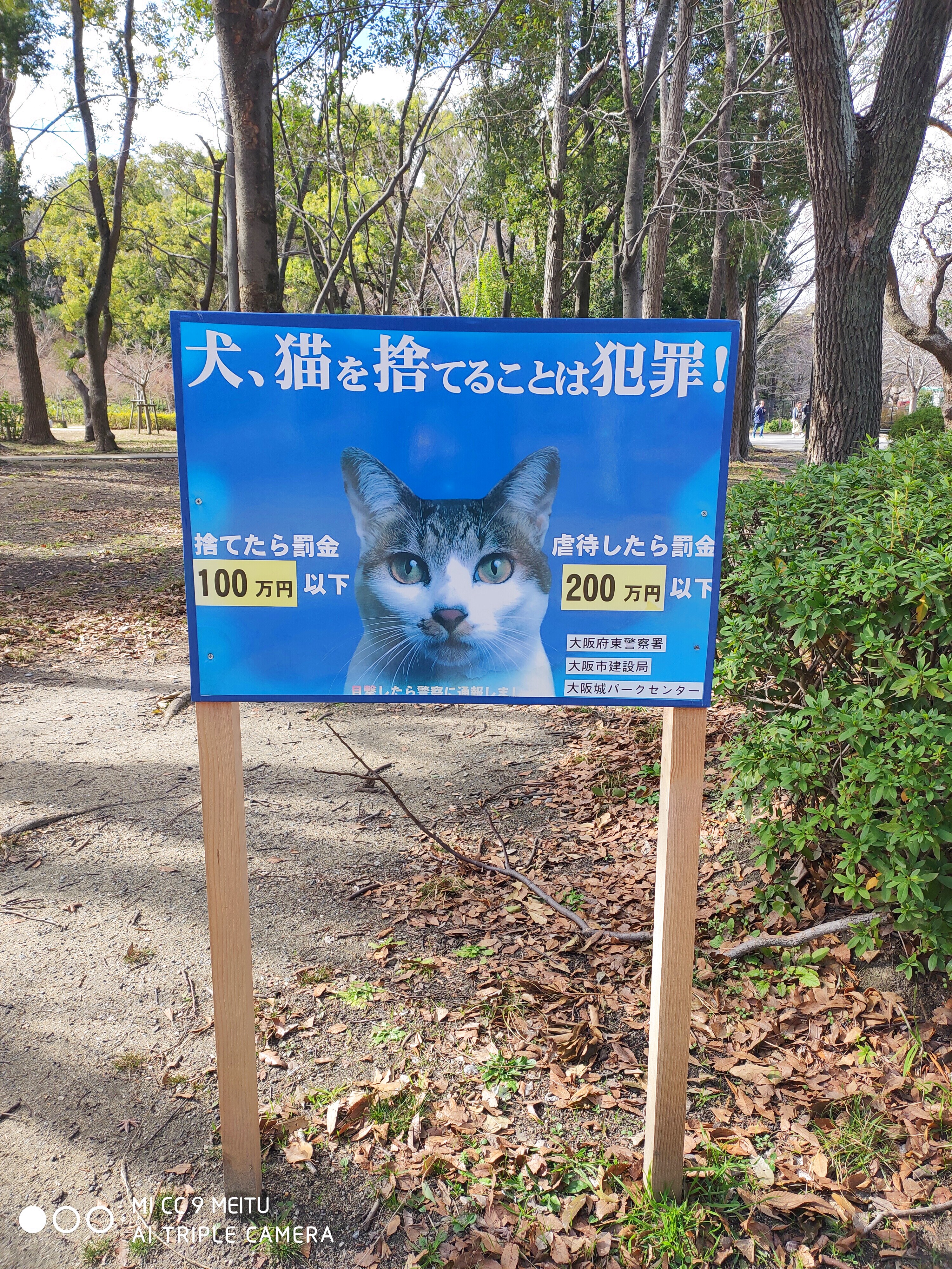 弃猫罚款警示牌